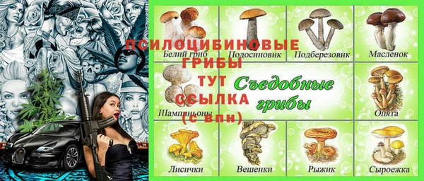 скорость Гусиноозёрск