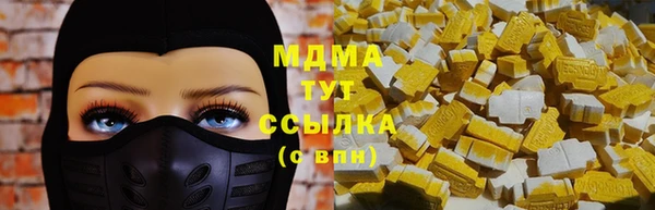 молекула духа Богданович