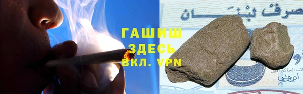 молекула духа Богданович