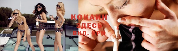 молекула духа Богданович