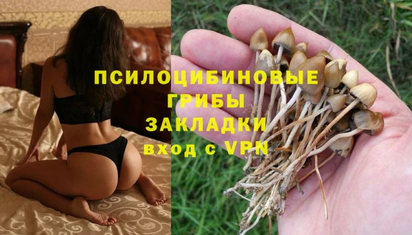 спиды Беломорск