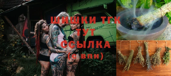 гашик Белокуриха
