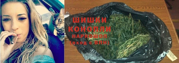 тгк Богородск