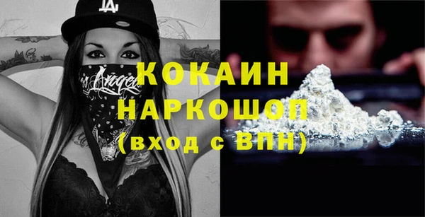 молекула духа Богданович
