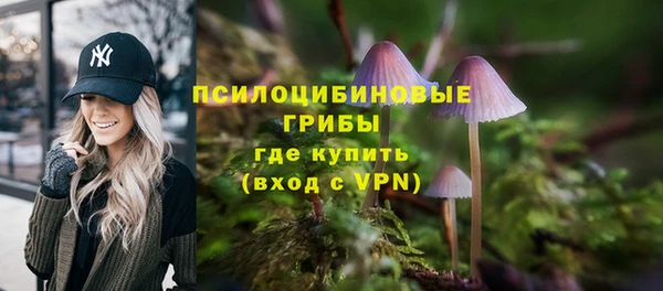 кокс Гусь-Хрустальный