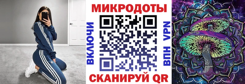 Псилоцибиновые грибы прущие грибы  Гудермес 