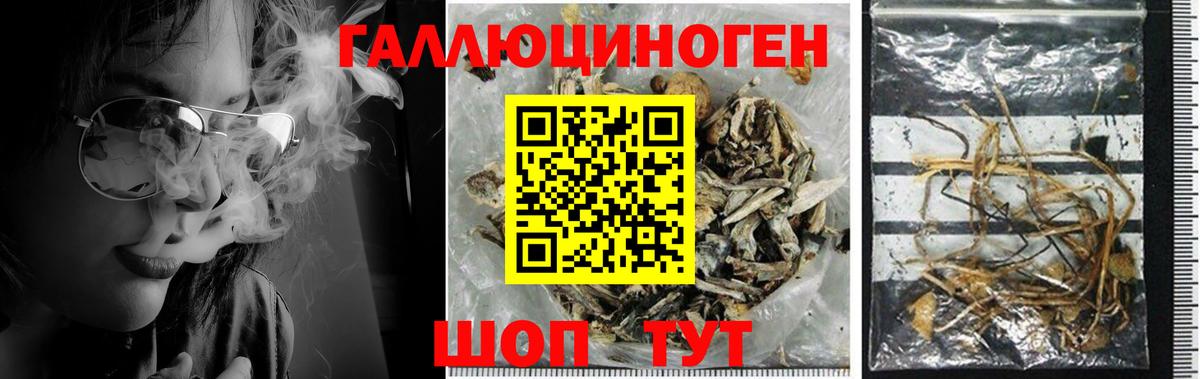 Галлюциногенные грибы мухоморы  Вход с VPN  Галлюциногенные грибы MAGIC MUSHROOMS  Гудермес 