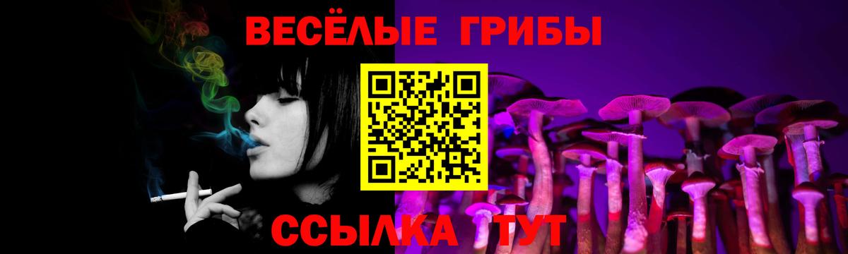 Псилоцибиновые грибы мицелий  Гудермес 